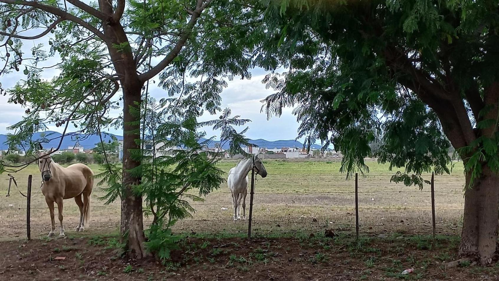 Appartamento Aeropuerto A 5' Y Ruta Del Vino A 100 Mts Salta Esterno foto